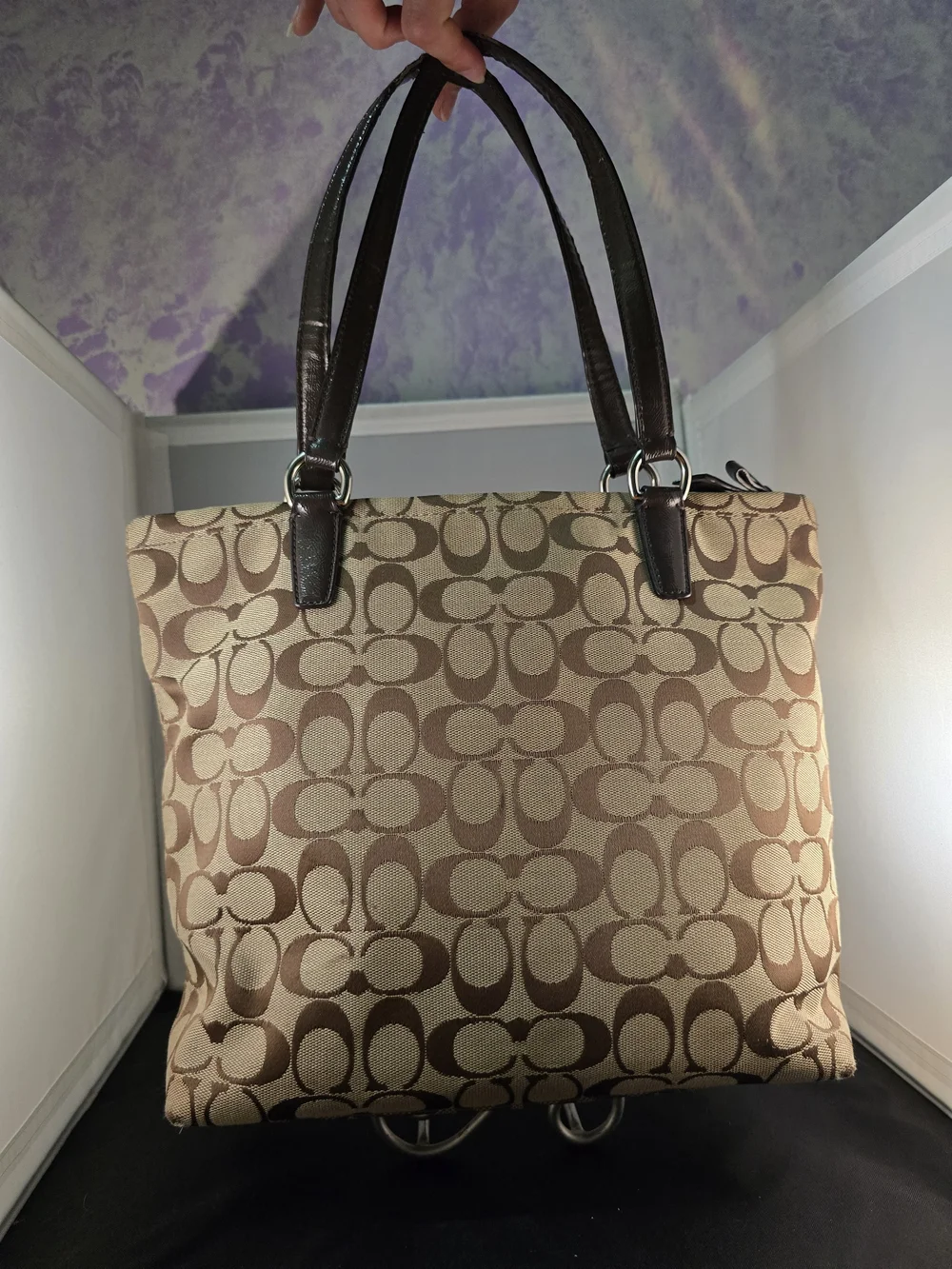 Coach Signature Canvas Tote Bag in Brown